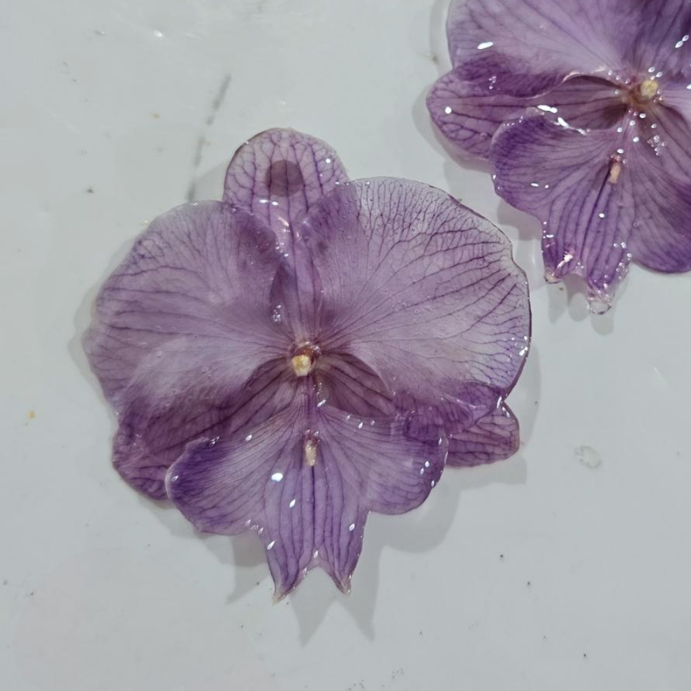 Prendedor Orquídea Real