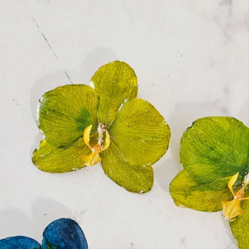 Prendedor Orquídea Real