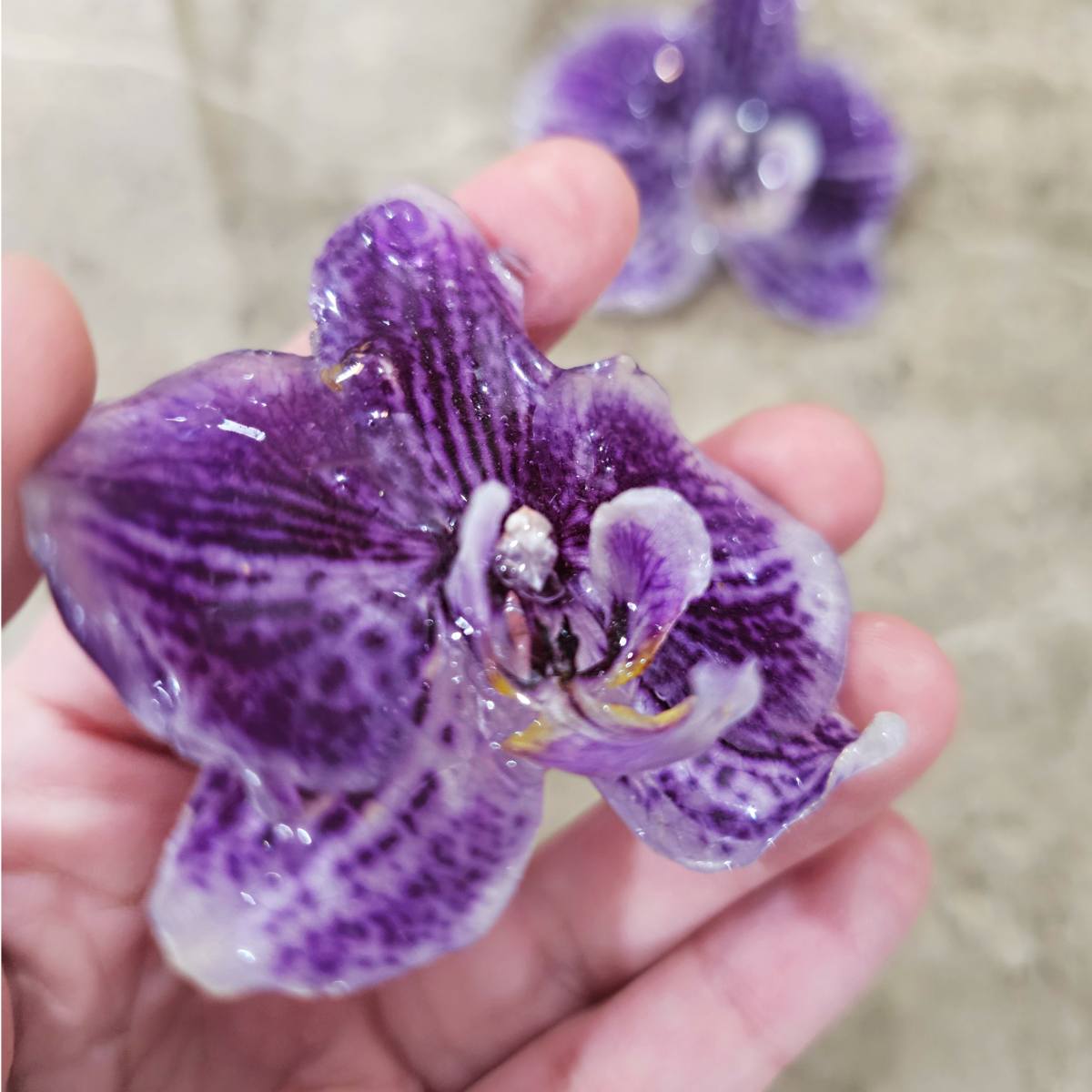 Prendedor Orquídea Real