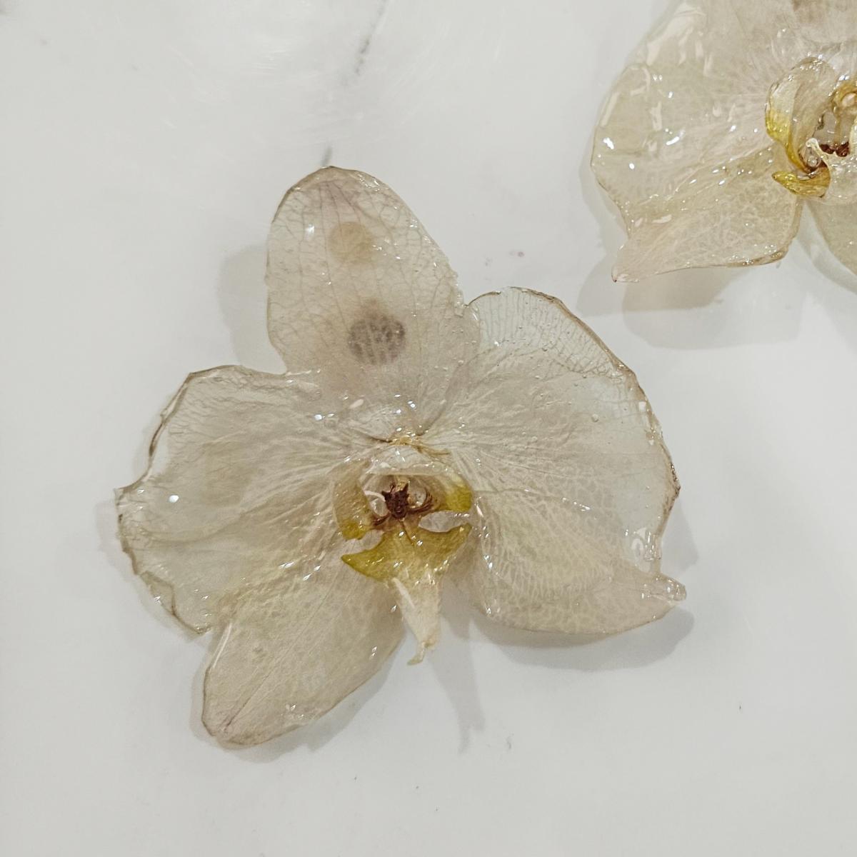 Prendedor Orquídea Real
