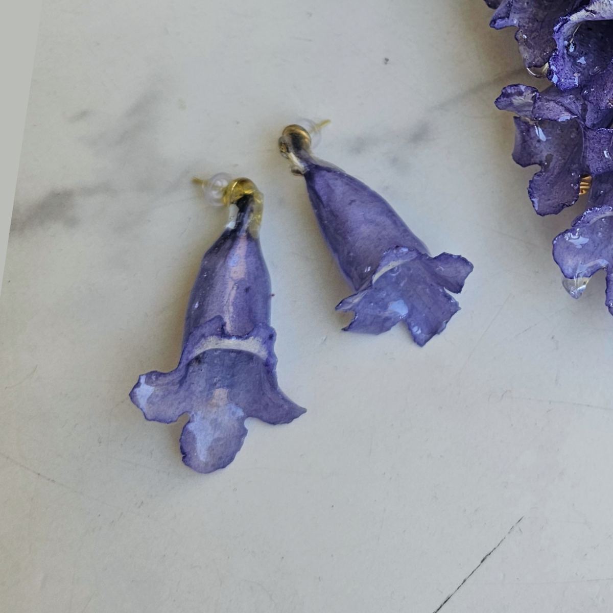 Prendedor Jacaranda Real preservados