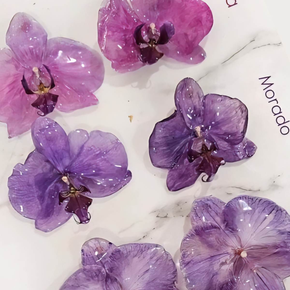 Aretes Orquídea Real Medianos VARIOS COLORES