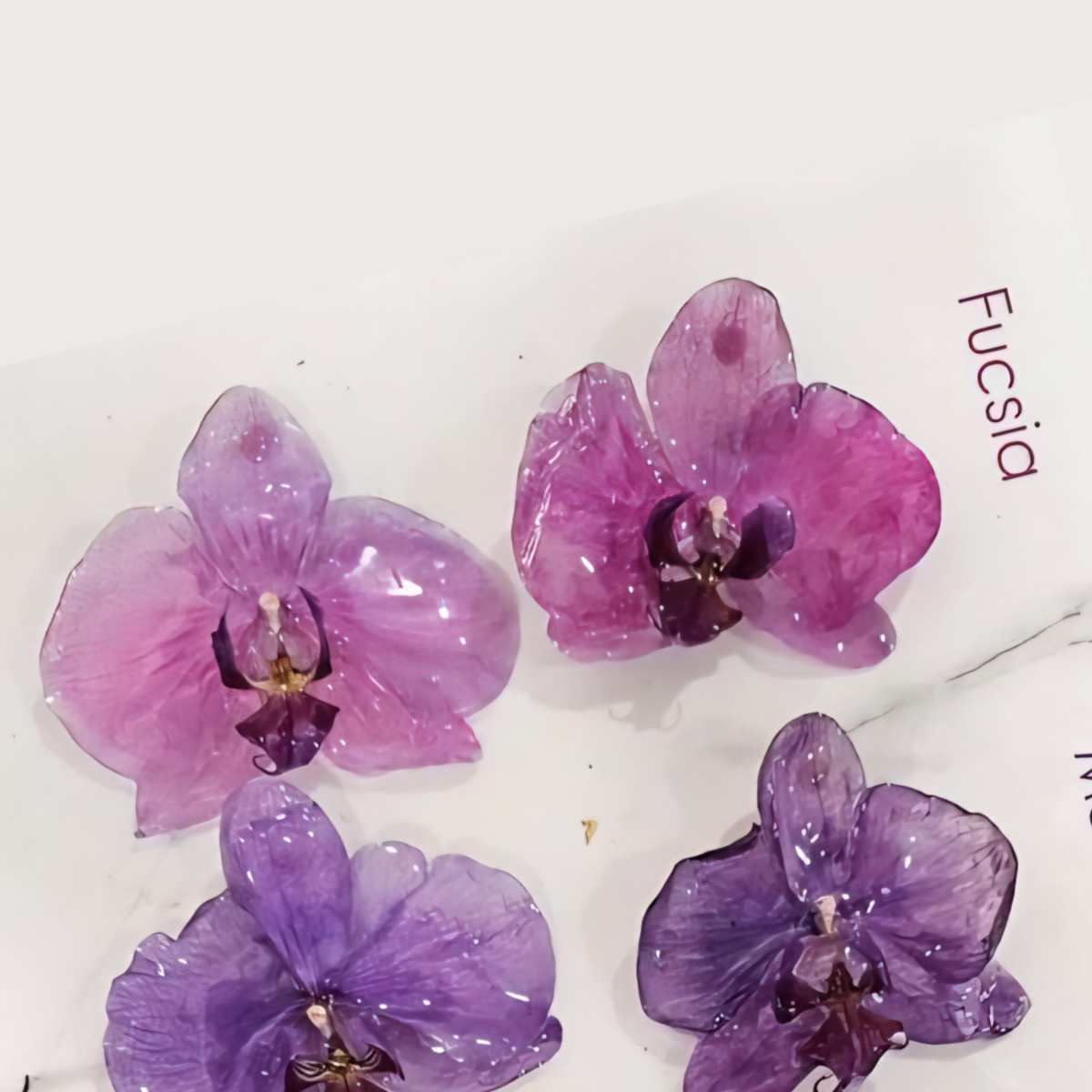 Aretes Orquídea Real Medianos VARIOS COLORES