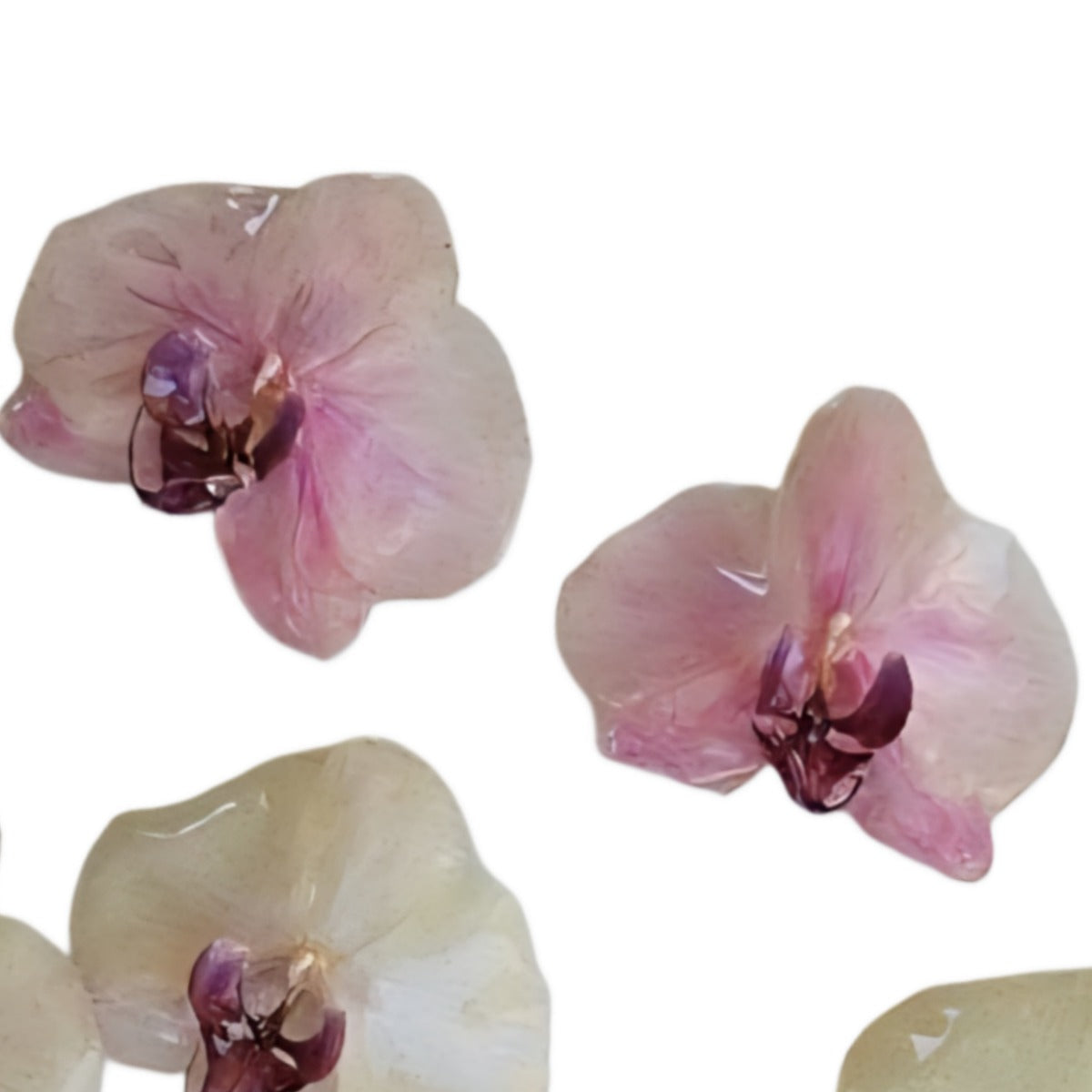Aretes Orquídea Real Medianos VARIOS COLORES