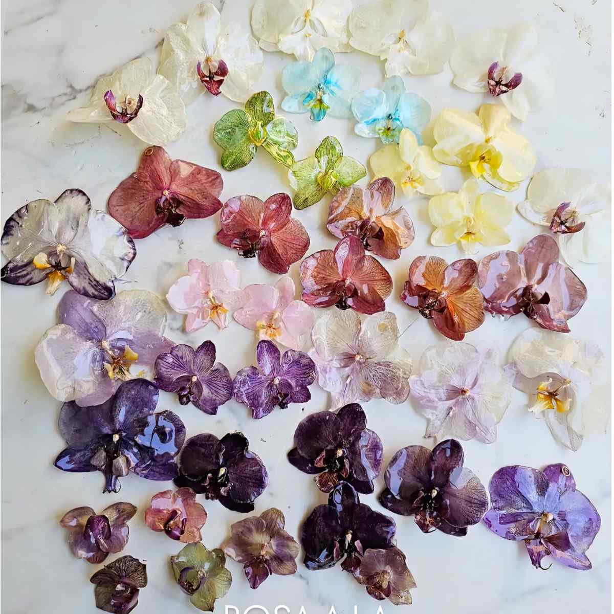 Aretes Orquídea Real Medianos VARIOS COLORES