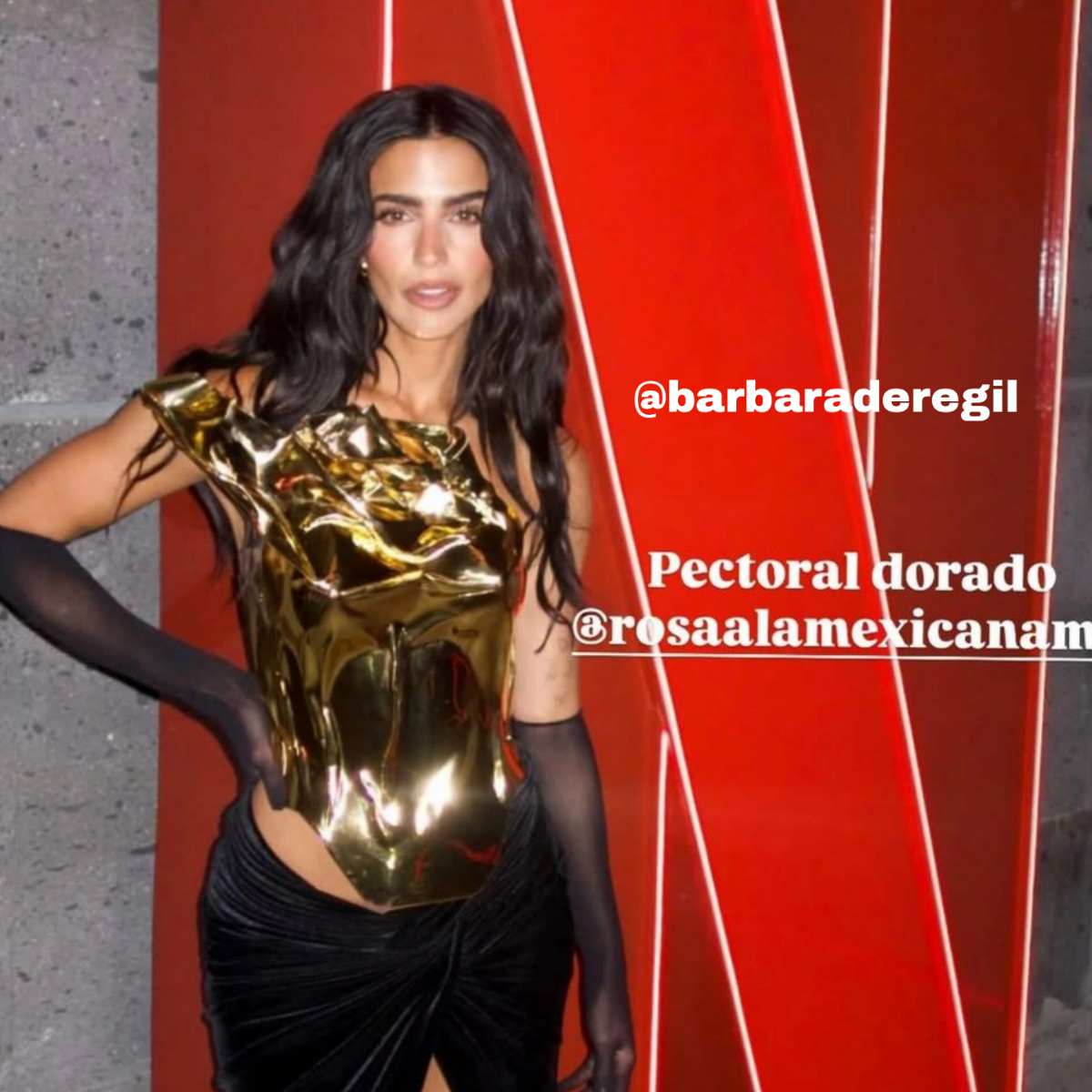 Pechera Artemisa Peto Rígido Rojo
