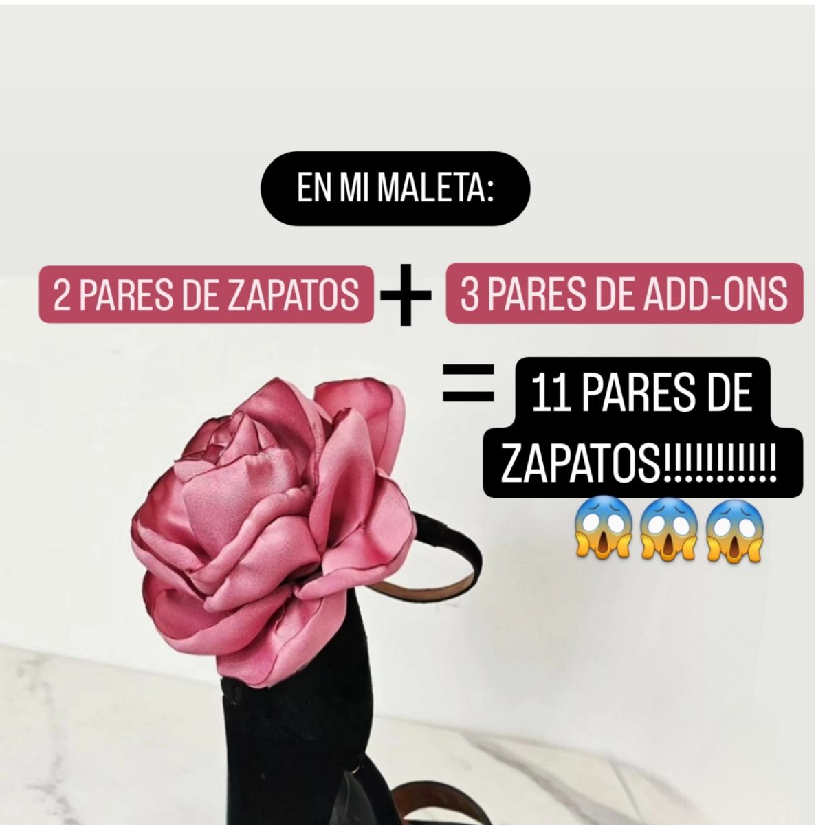 Add-Ons clips para Zapatos Varios diseños