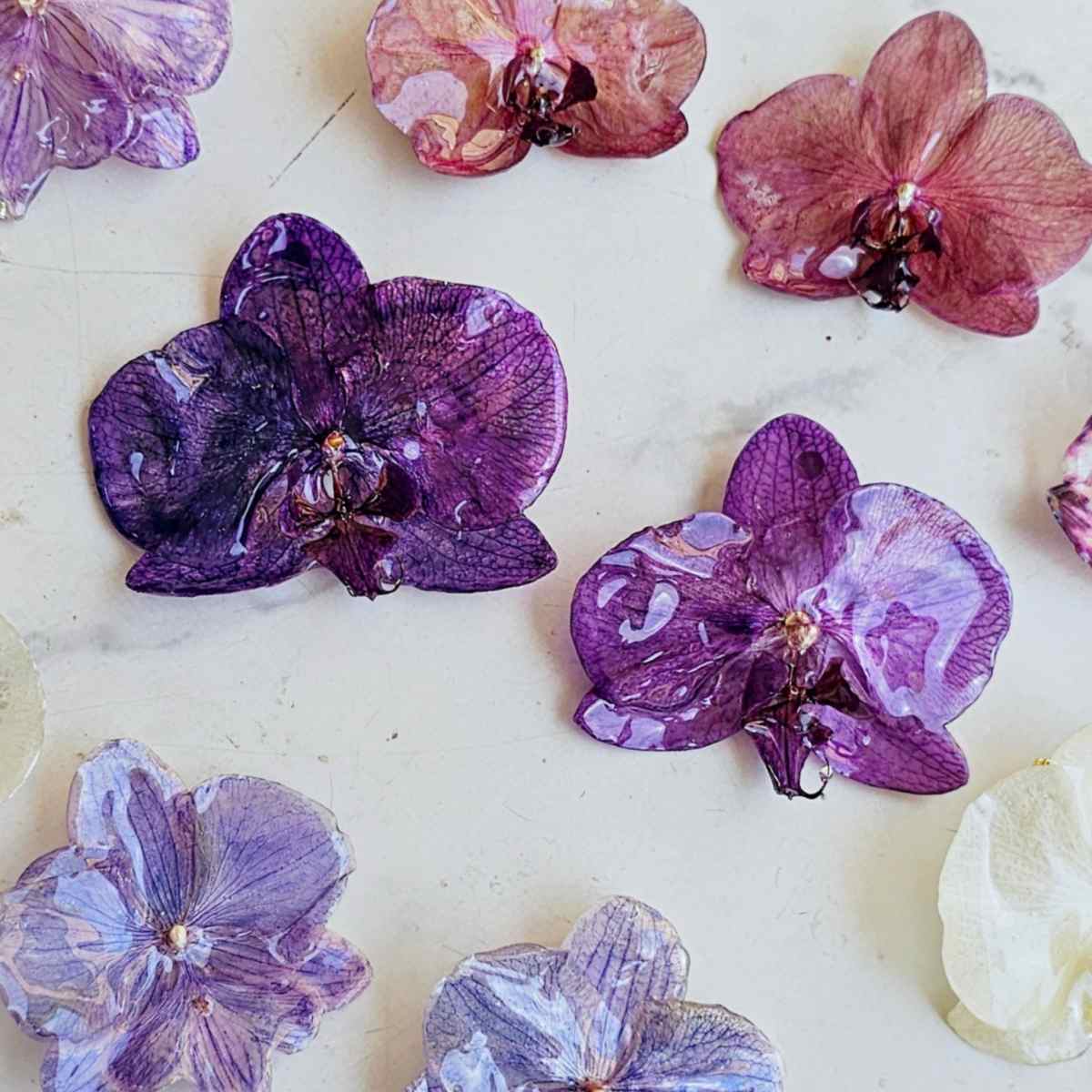 Prendedor Orquídea Real