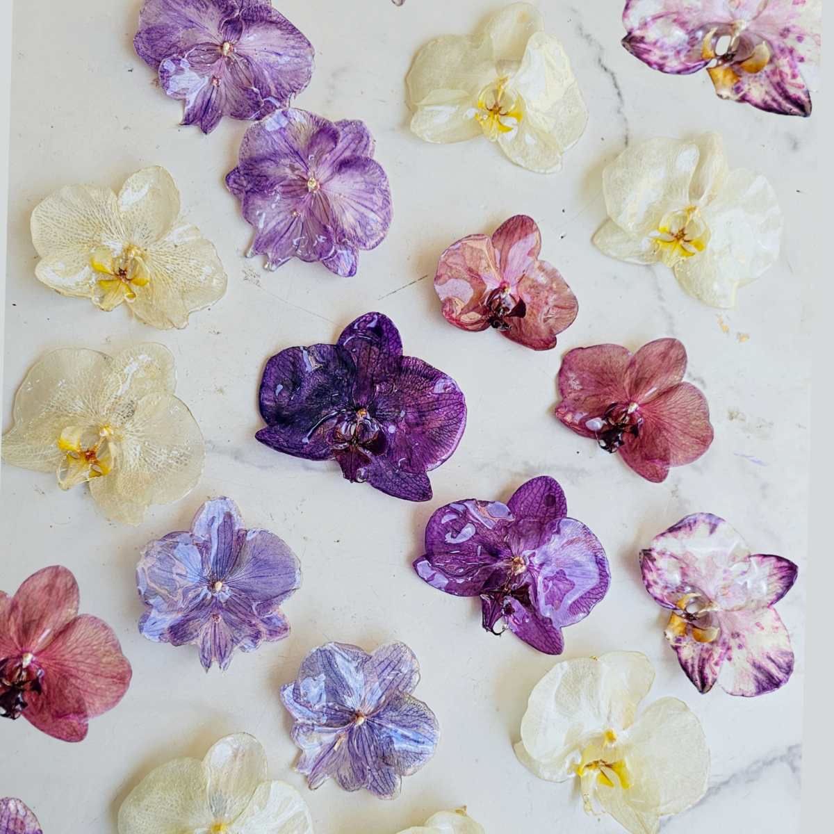 Prendedor Orquídea Real