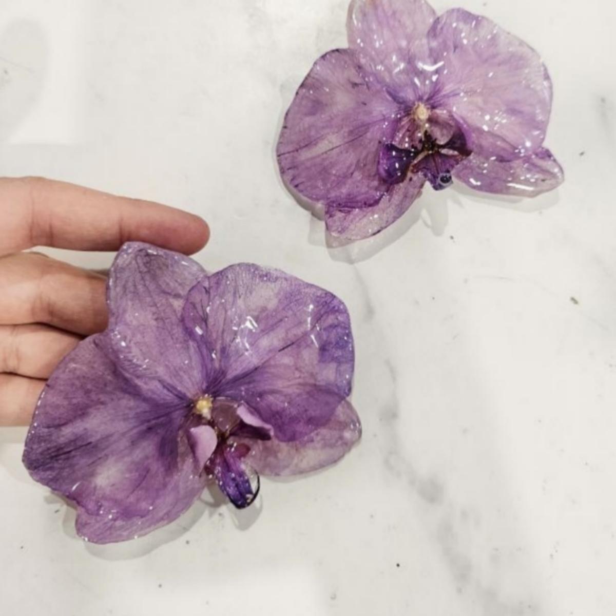 MAXI Aretes Orquídea Real VARIOS COLORES