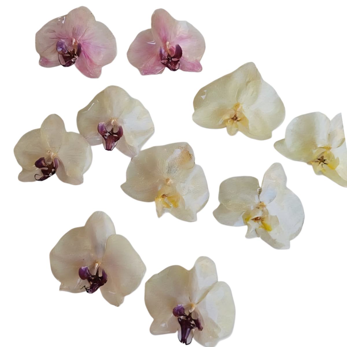MAXI Aretes Orquídea Real VARIOS COLORES