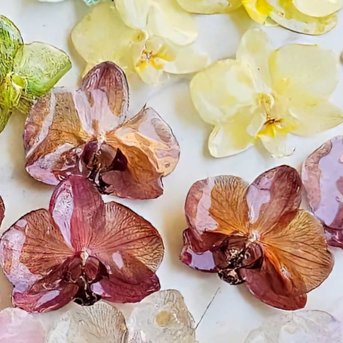 Aretes Orquídea Real Medianos VARIOS COLORES
