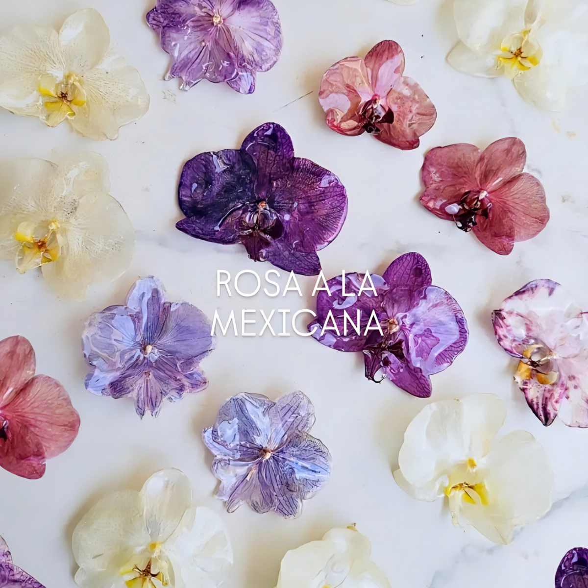 Aretes Orquídea Real Medianos VARIOS COLORES